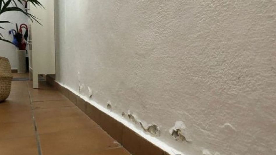 Cómo proteger una pared de la humedad?