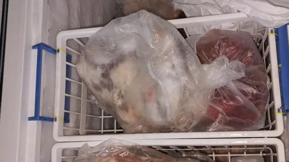 Los cortes cárnicos secuestrados estaban rotulados, en el interior de un freezer.