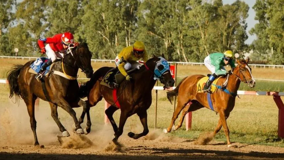 Serán 110 caballos pura sangre los que fueron ratificados para la próxima reunión en el circo hípico local. ARCHIVO