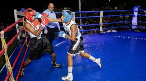 Festival Solidario de Boxeo