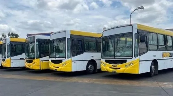 La Comuna brindó detalles del transporte público   para los estudiantes terciarios de Cacharí y Chillar