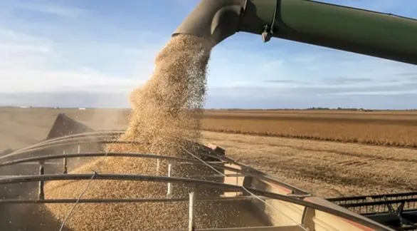 Un indicador clave anticipa una liquidación grande de divisas de campo que ilusiona al gobierno